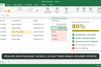 clean, format and organize your excel sales data