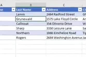 data entry, excel work, copy paste and admin support
