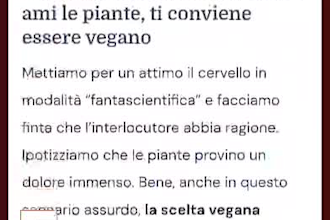 write SEO articles about vegan lifestyle and natural health