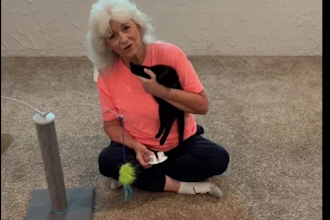 create authentic ugc videos for pet brands