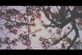 edit cinematic aesthetic videos