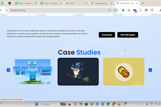 fix wordpress bugs, errors, issues and website problems