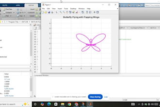do matlab programming, simulink modeling and engineer