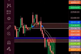 teach you forex trading like pro