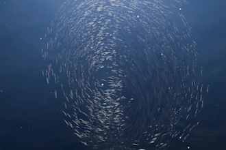 make an aestetic wallpaper for your phone in 3d