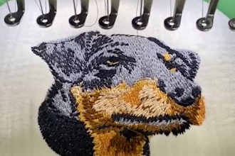 digitize realistic pet portraits for embroidery, dst pes jef files