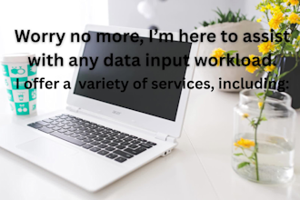 do accurate data entry, copy typing and document conversion