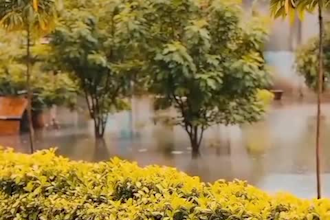create engaging and high quality video edits