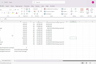 collect and enter data into excel files