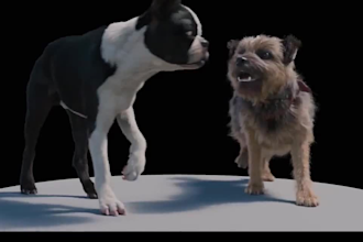 do any 3d animal model 3d animation 3d creature 3d character animation cgi vfx
