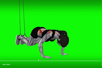 create professional exercise, workout, gym, and fitness animation videos