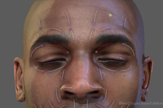 model, rig or fix, facial rig, retopology character, auto rig in iclone, cc4,cc5