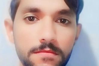 professional english to pashto and urdu translation