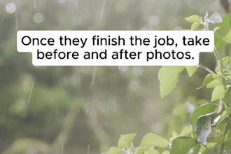 professionally edit your instagram reels