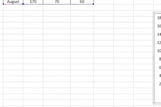 do professional data analysis, excel reports and data visualization