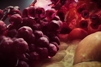create professional 3d medical animation