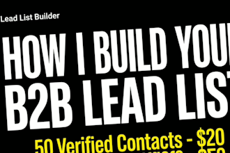 build b2b lead list targeted cold email leads for US sales and outreach