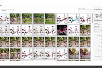 integrate ai background remover and upscaler into wordpress