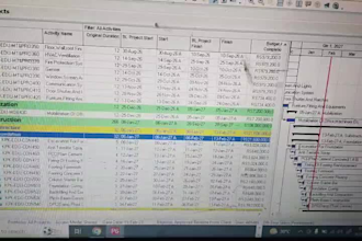 create a professional primavera p6 project schedule