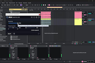 professionally clean and edit your audio