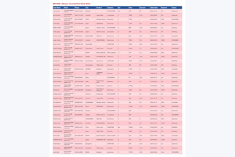 excel data entry, cleaning and formatting expert
