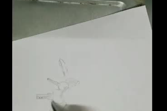 draw a realistic hand drawn portrait from your photo
