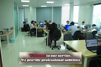 add accurate hausa subtitles to your video