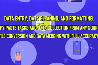 do data entry and typing in excel