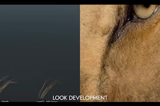 create vfx compositing, visual effect, cleanup for your shot