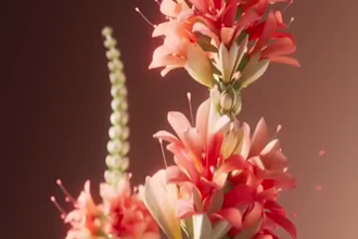 do 3d flower animation 3d plant animation 3d flower model 3d plant model