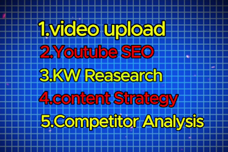 be your expert youtube channel manager