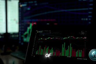 edit your MLM or crypto plan video