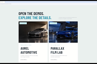 design a premium ppf tint and car wrap website for your shop