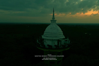 do professional video color grading and color correction