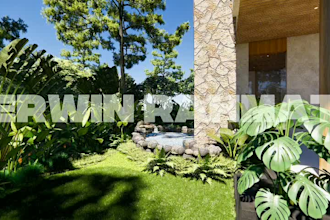design landscape, backyard, frontyard, garden, patio, and 3d rendering