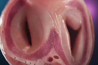 create 3d ai medical animation videos and films