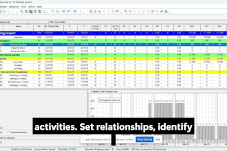 deliver a professional p6 schedule