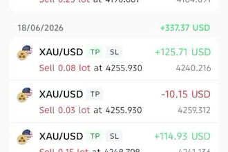 copy my verified forex trading strategy on mt5