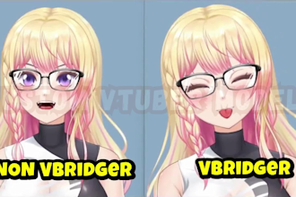rig live2d vtuber model nsfw vtuber rigging anime vtuber commission  for stream