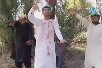 do happy birthday video or africa happy birthday video