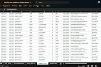 clean, format, and organize your excel data professionally