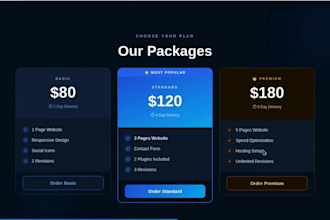 build a professional website