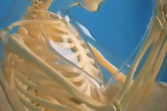 do viral 3d skeleton ai storytelling shorts for youtube