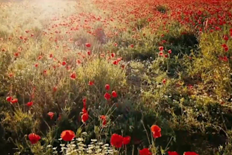 edit viral instagram reels with subtitles and engaging cuts