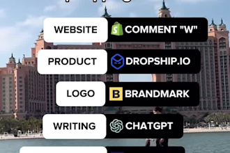 be dropshipping coach dropshipping mentor ecommerce consultant shopify mentor