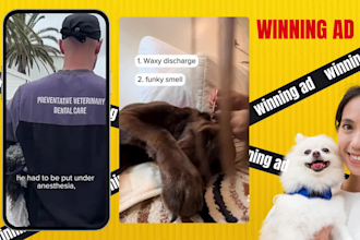 edit pet ugc video ads for facebook and tiktok