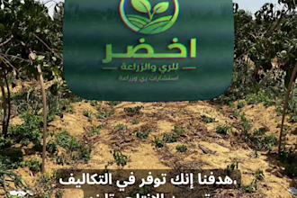record a warm female voice over in egyptian dialect or msa
