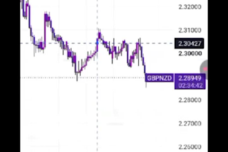 each forex trading and provide smart money market analysis