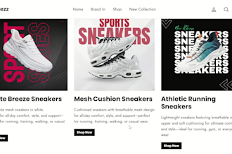 shopify developer custom liquid landing page cro specialist