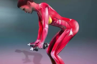 3d workout video, gym animation, exercise, fitness anatomy, bodybuilding